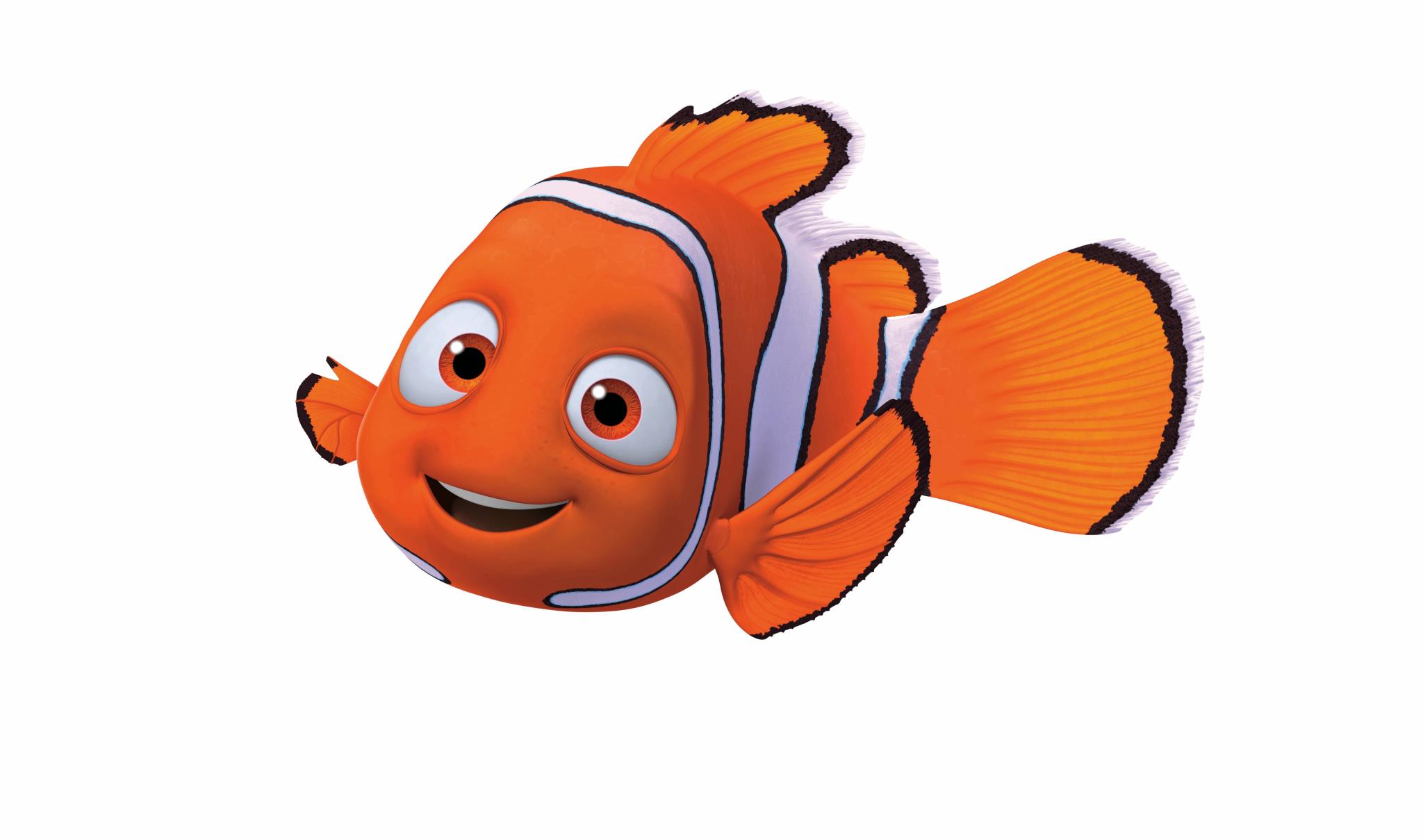 Pictures Of Finding Nemo 2
